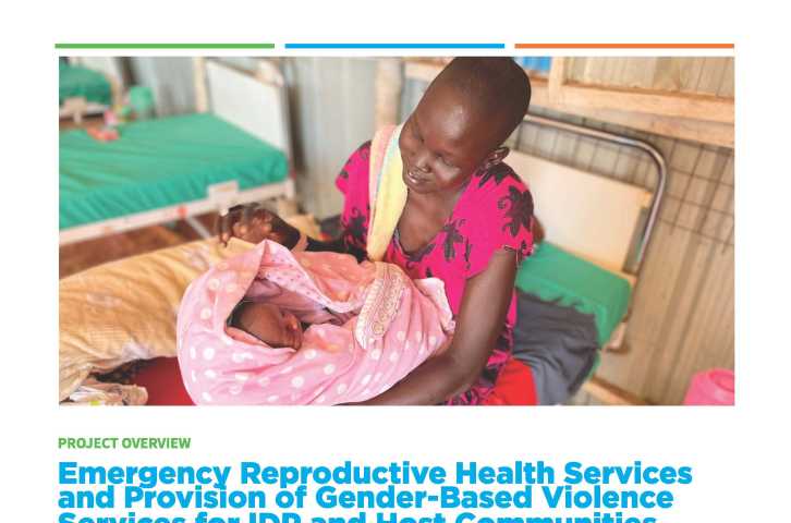 Emergency Reproductive Health Services and Provision of Gender-Based Violence Services for IDP and Host Communities 