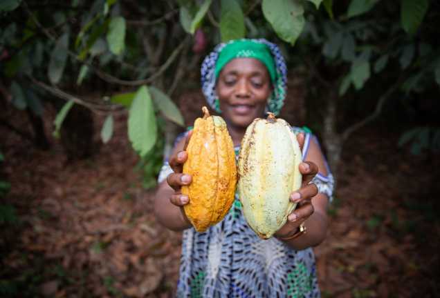 The USDA Food for Progress TRACE Project Launches at CFAN’s 2nd Annual Cocoa Festival in Nigeria
