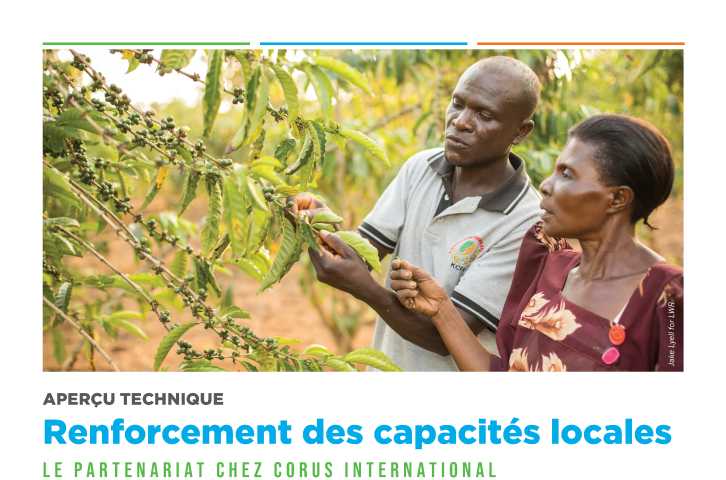 Renforcement des Capacités Locales: Aperçu Technique