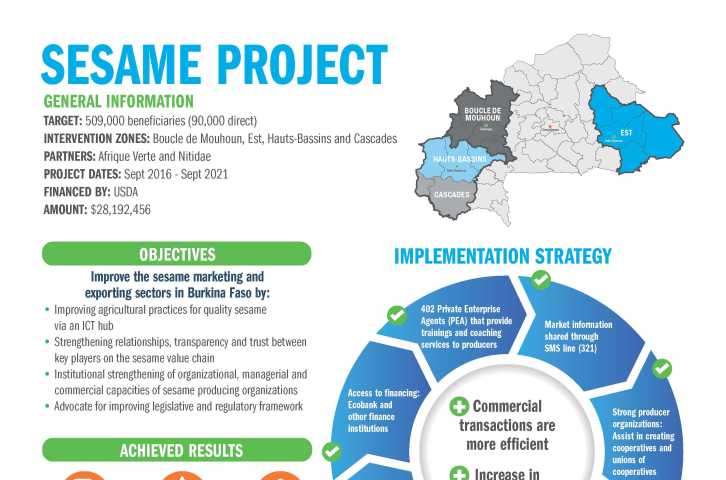 Sesame Marketing and Exports Infographic
