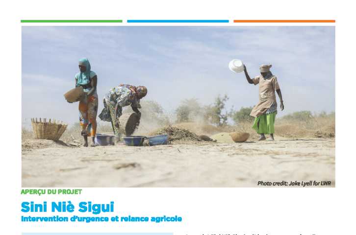 Sini Niè Sigui : Intervention d’urgence et relance agricole 