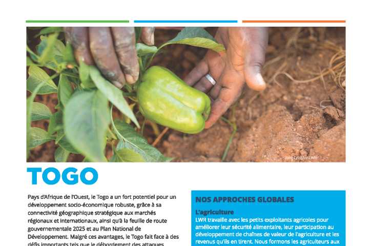 Aperçu du Togo